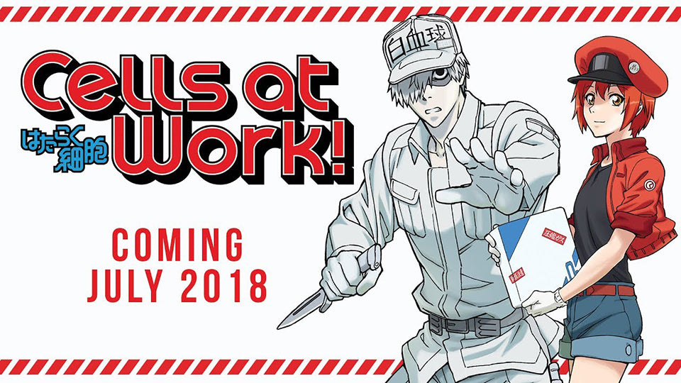 Cells at Work