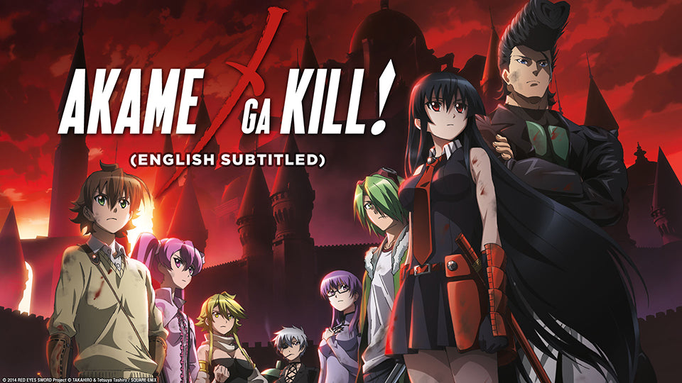 Akame Ga Kill