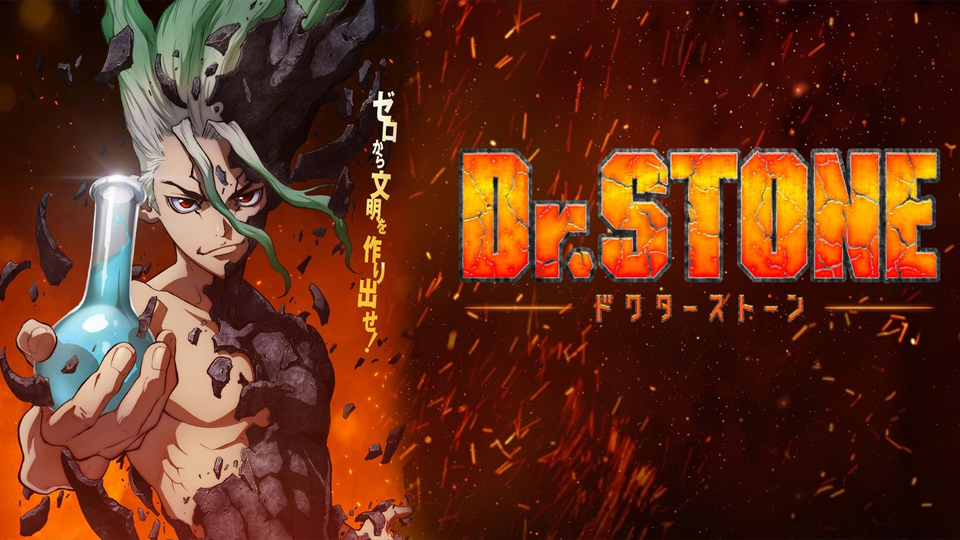 Dr. Stone