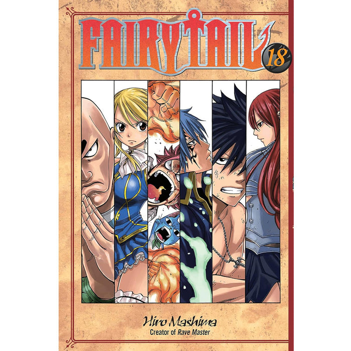 Fairy Tail Manga Books