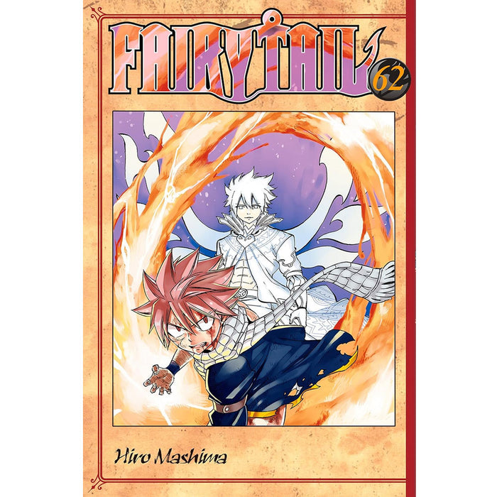 Fairy Tail Manga Books