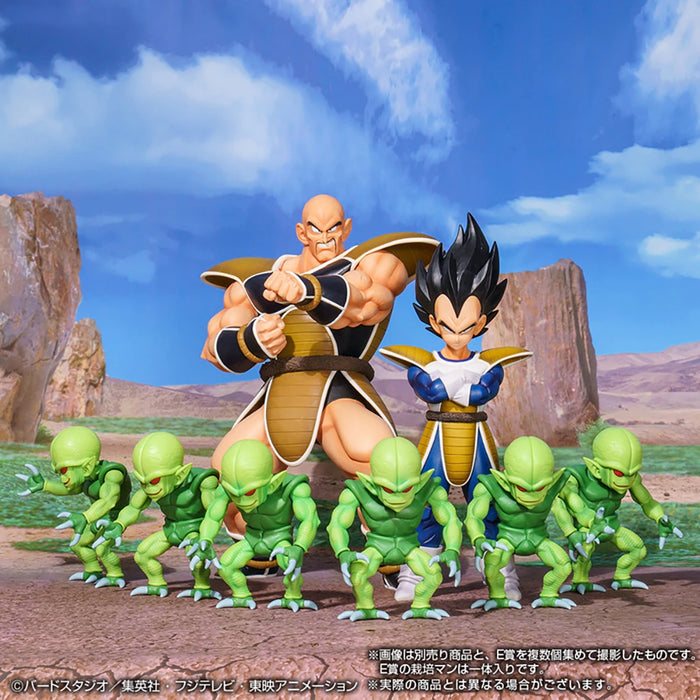 BANDAI Dragon Ball Nappa World Tournament Super Battle Ichiban Kuji Prize B/ Last Prize Figure