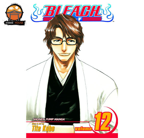 BLEACH MANGA books set