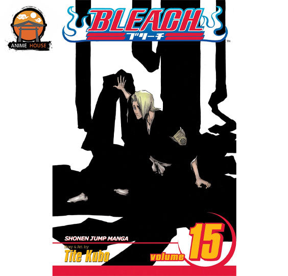 BLEACH MANGA books set