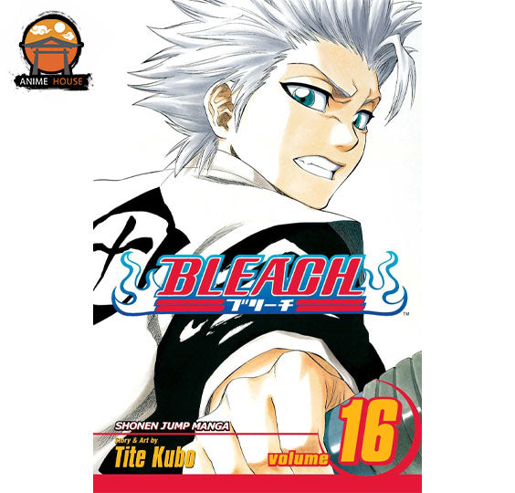 BLEACH MANGA books set