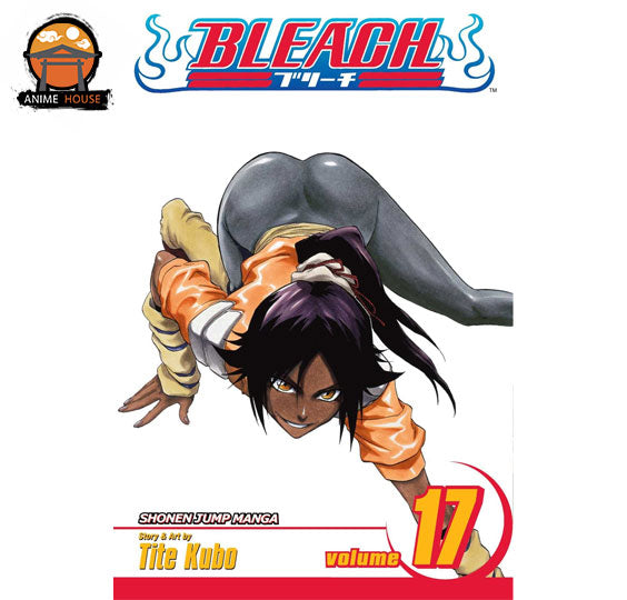 BLEACH MANGA books set