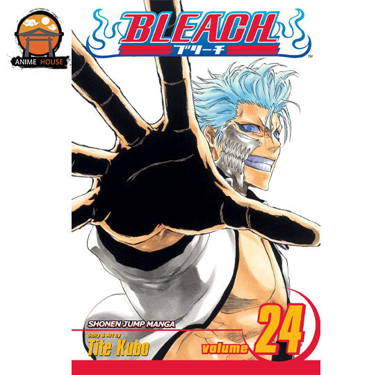 BLEACH MANGA books set