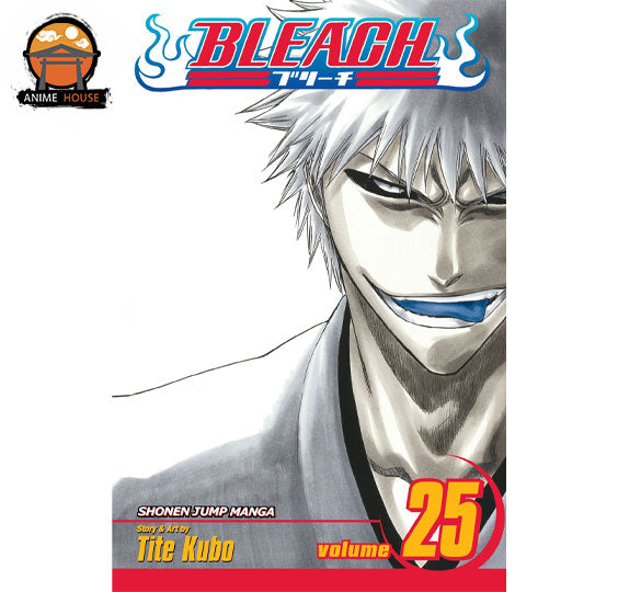 BLEACH MANGA books set