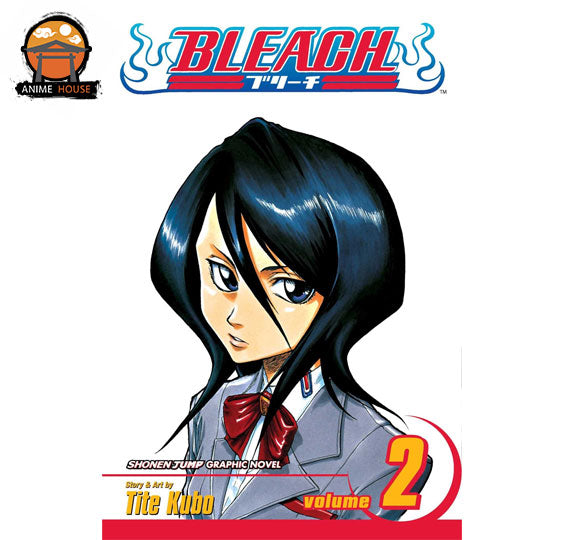 BLEACH MANGA books set