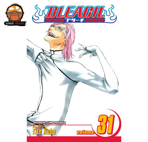 BLEACH MANGA books set