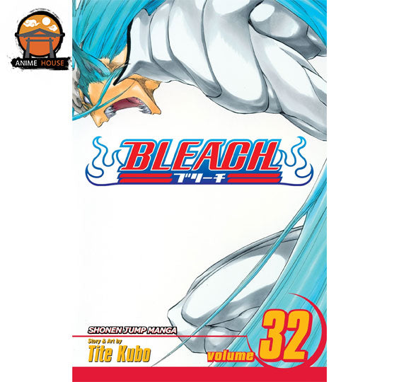 BLEACH MANGA books set