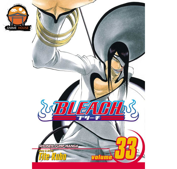 BLEACH MANGA books set