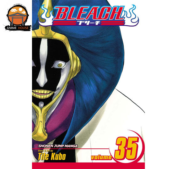 BLEACH MANGA books set