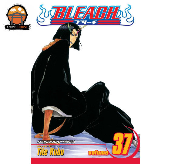 BLEACH MANGA books set