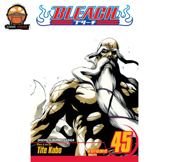 BLEACH MANGA books set