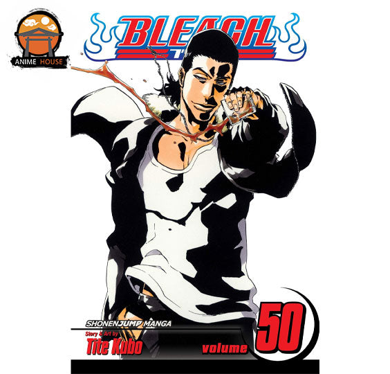 BLEACH MANGA books set