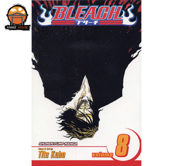 BLEACH MANGA books set