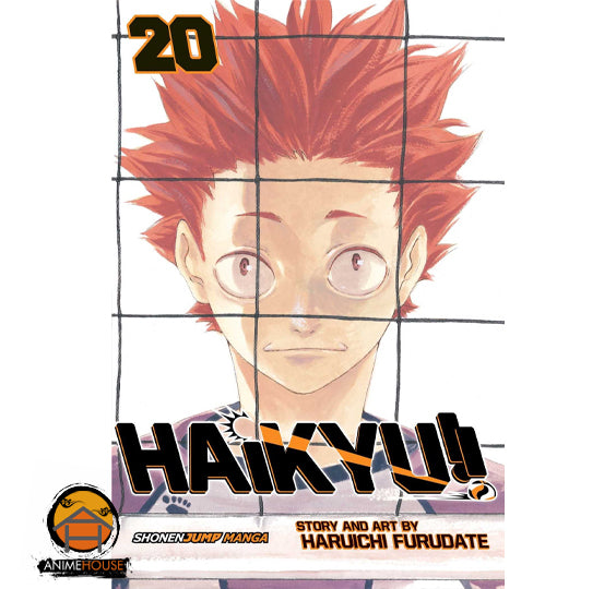 Haikyu!!  Manga Book