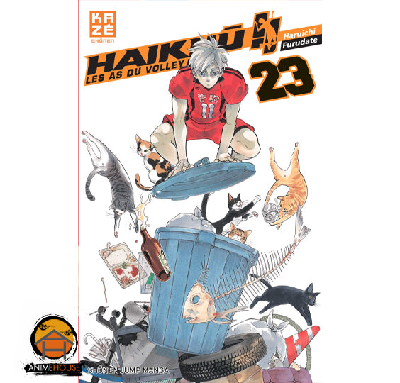 Haikyu!!  Manga Book