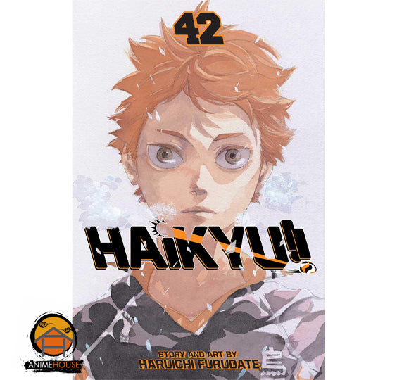 Haikyu!!  Manga Book